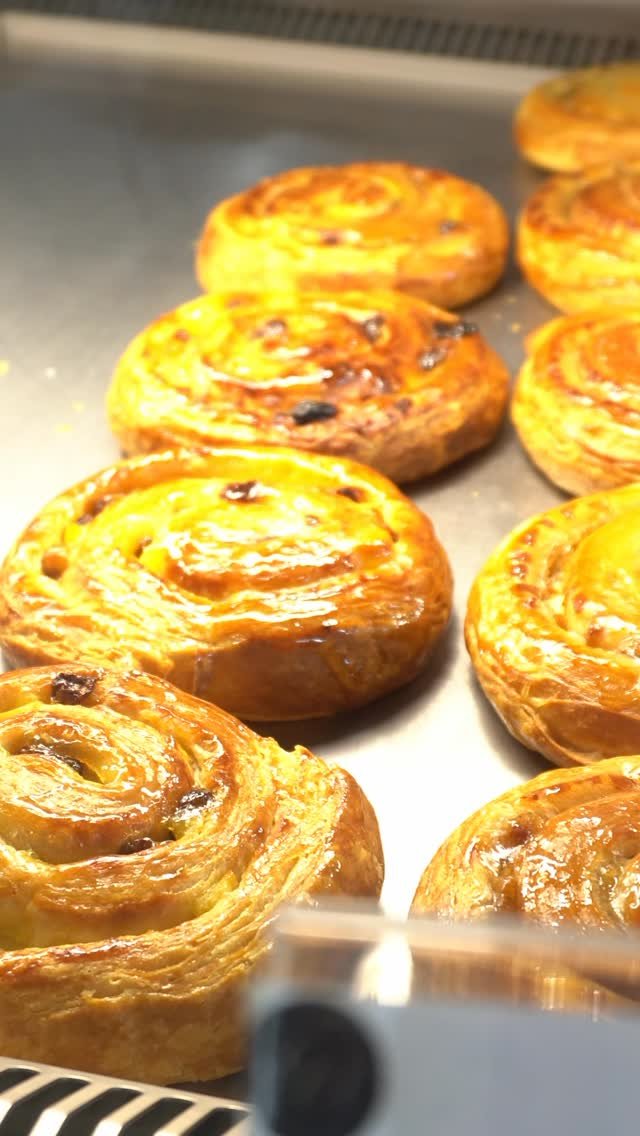 Freshly filled displays / Vitrines fraîchement garnies