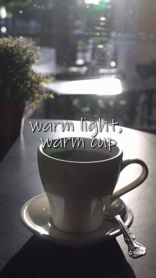 Morning light / Lumière du matin